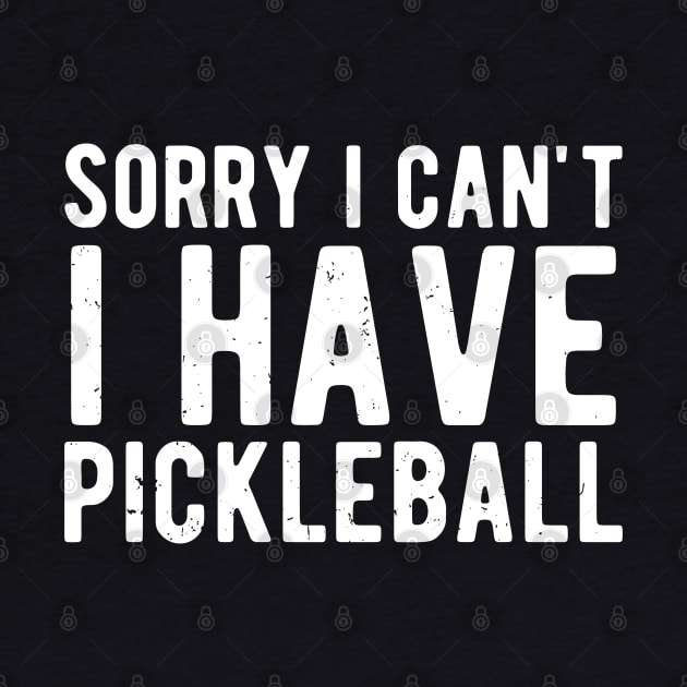 sorry i cant i have pickleball by Gaming champion